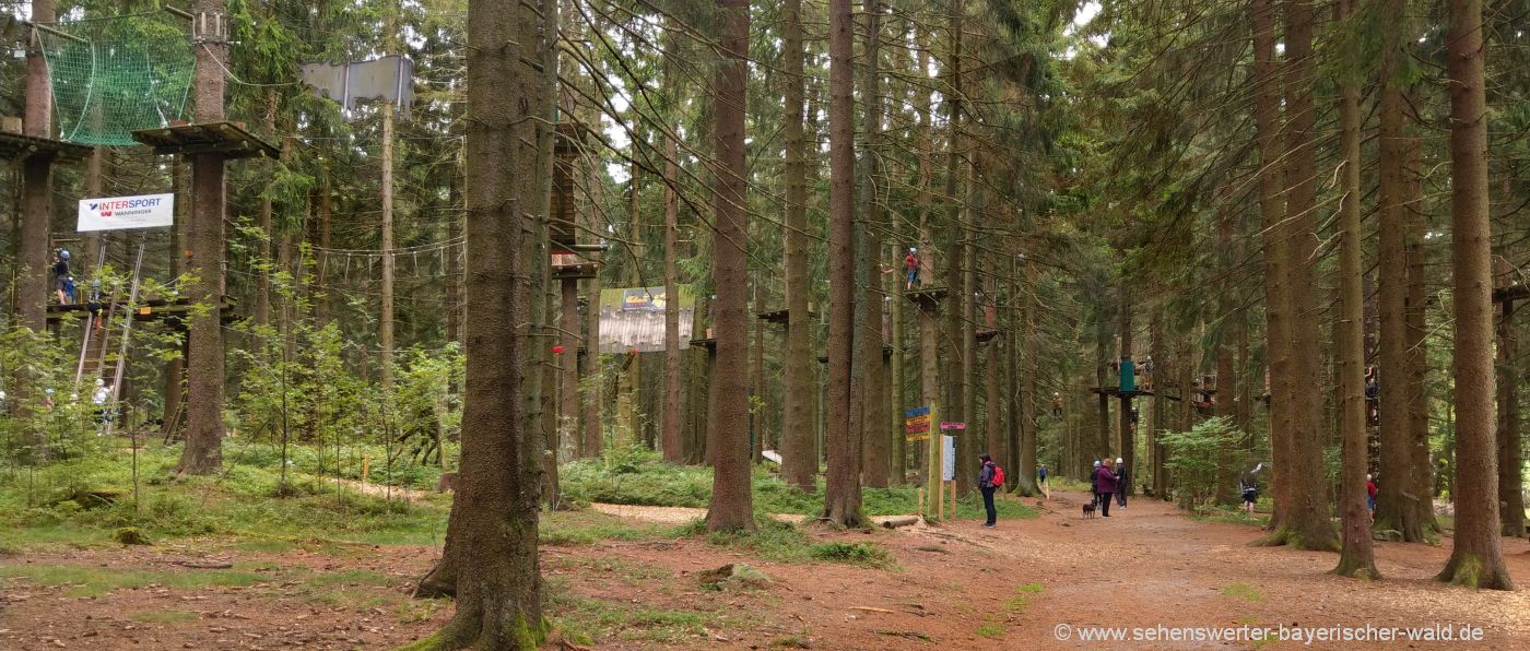 sankt-englmar-hochseilgarten-niederbayern-kletterwald