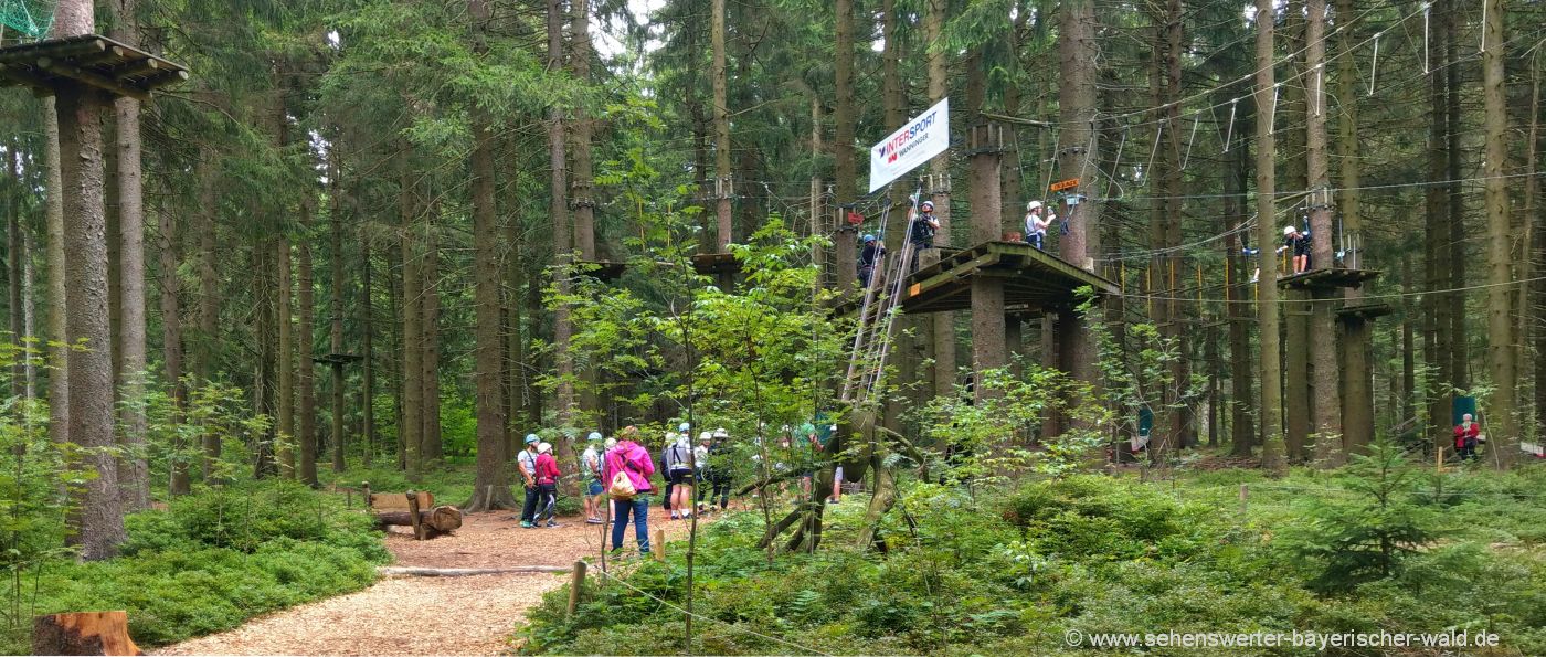 Kletterwald in Sankt Englmar Hochseilgarten über den Baumwipfeln