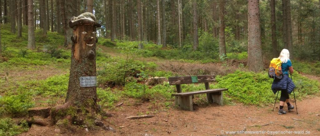 Sankt Englmar Saustein Rundwanderweg mit Sausteinzwerg