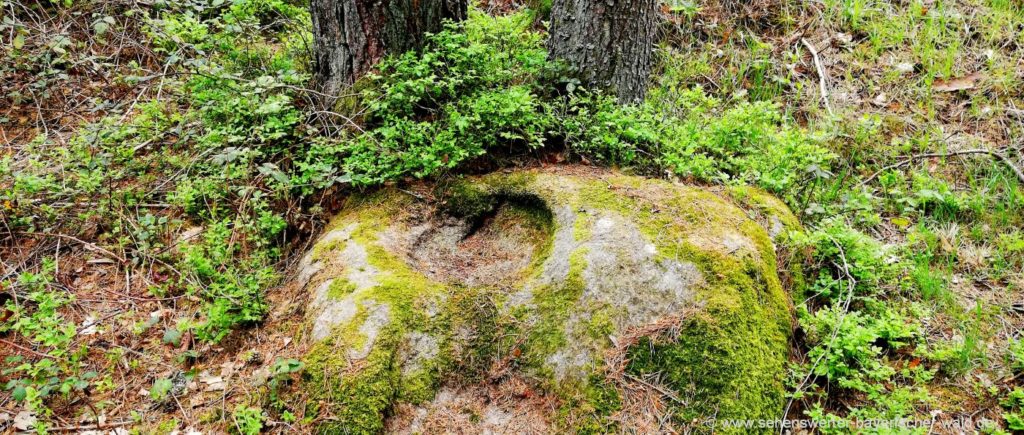 Sattelpeilnstein Wanderweg nach Birnbrunn Druidensteine Öd Schalensteine