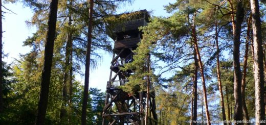 schwandorf-fuhrn-aussichtsturm-hirschberg-aussichtspunkt-oberpfalz-wald