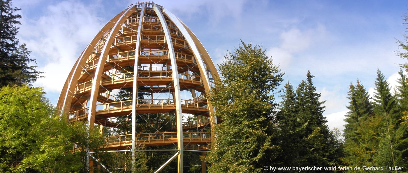 Sehenswürdigkeiten Bayerischer Wald Ausflugsziele Waldwipfelpfad