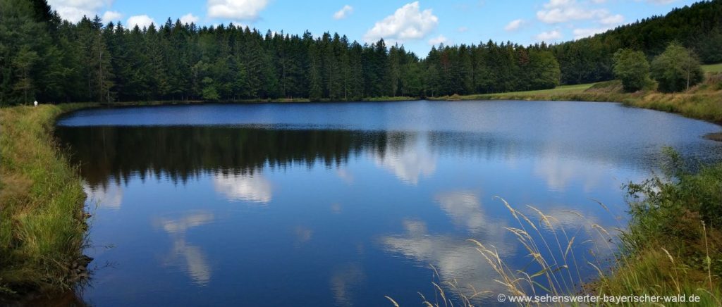 Spiegelau Wandern am Steinklamm Rundwanderweg zum Stausee Großarmschlag