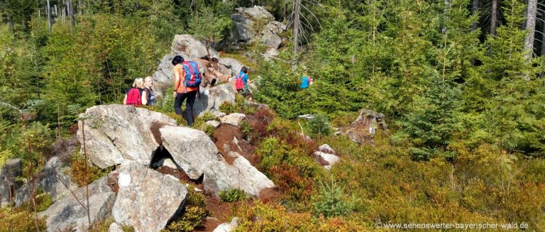 sankt-englmar-hadriwa-höhenwanderweg-felsenpfad-maibrunn-elisabethszell