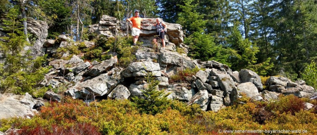 Sankt Englmar Hadriwa Höhenweg Wanderung bei Maibrunn