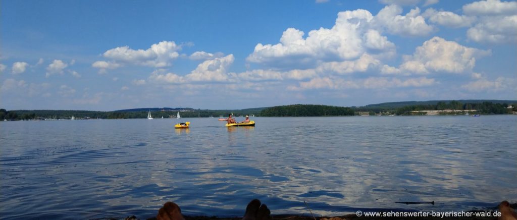 Segeln am Steinberger See in der Oberpfalz Boot fahren