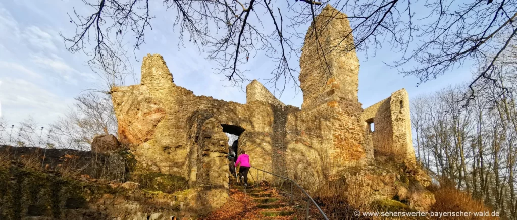 Strahlfelder Burg Ruine Schwärzenburg bei Roding