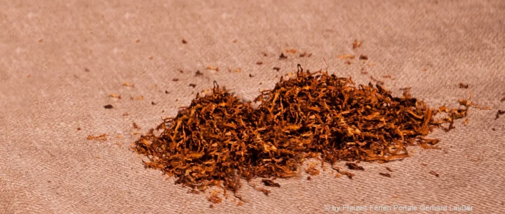 Naturtabak im Vergleich Welcher Tabak ist der beste? Mild, kräftig exotisch