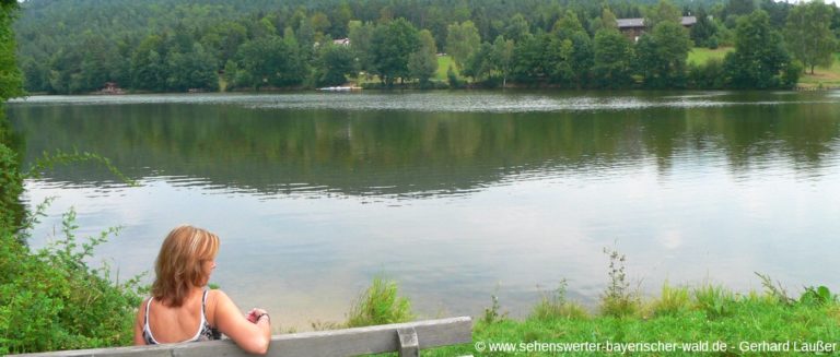 tittliing-ort-am-dreiburgensee-ruhebank-wanderung-panorama-1400