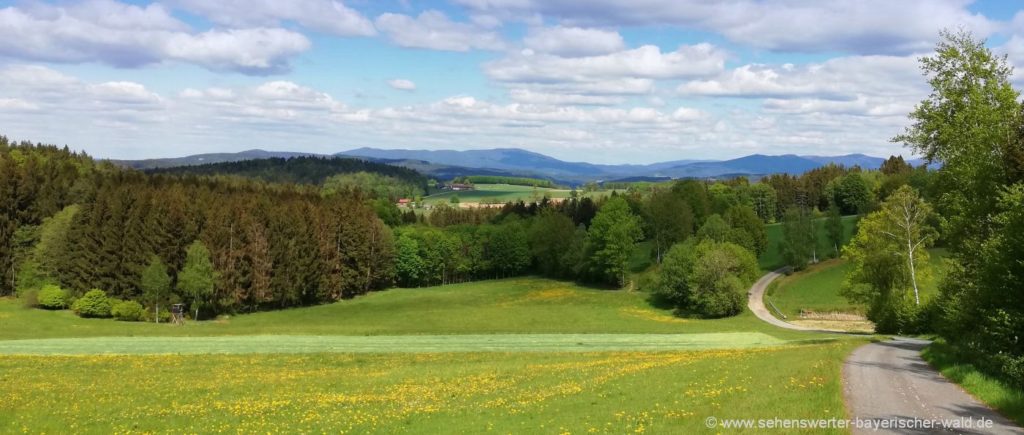 Wandern bei Traitsching Sattelpeilnstein Rundweg Aussichtspunkt