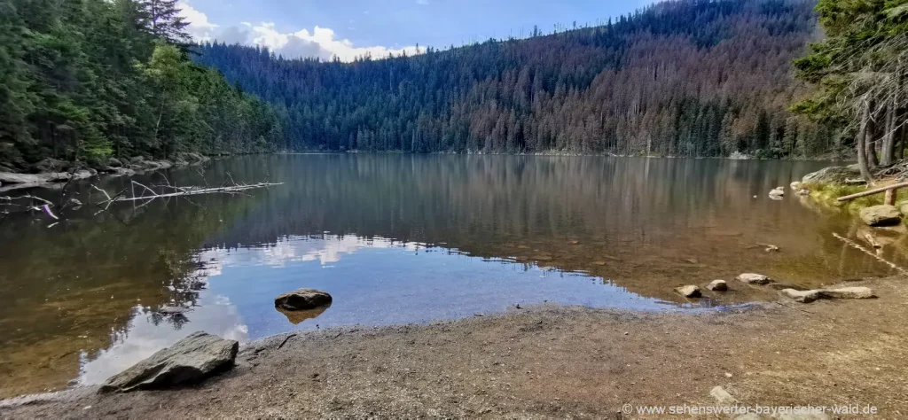 Wandern Lohberg zum Teufelssee im Böhmerwald Rundwanderung Lohberg Svaroh zum Čertovo Jezero und Černé Jezero im Sumava