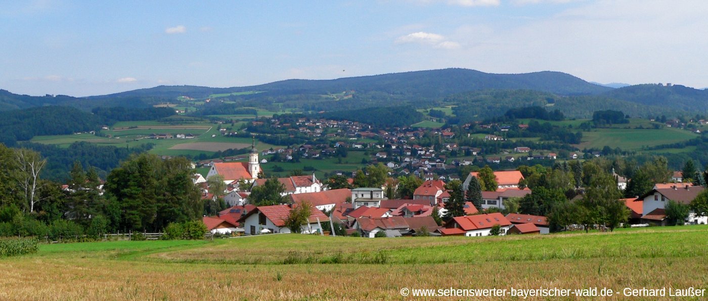 viechtach-ausflugsziele-stadt-ansicht-bayerwald-panorama-1400