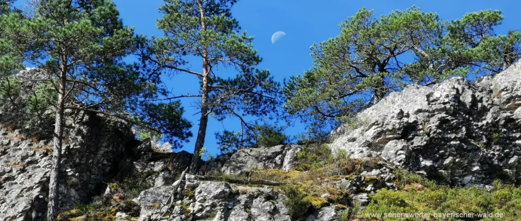 Steinbruch Wanderweg am Viechtacher Pfahl - Quarz Gestein Naturschutzgebiet