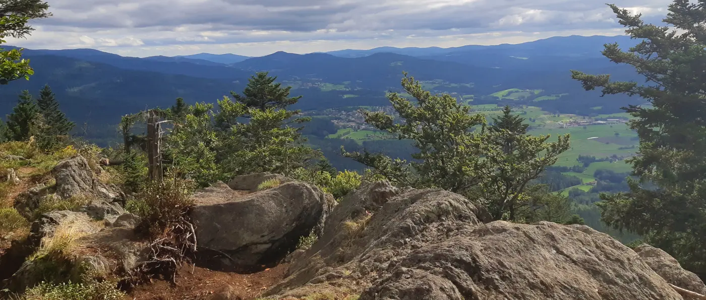 waldbaden-bayerischer-wald-kurse-oberpfalz-niederbayern