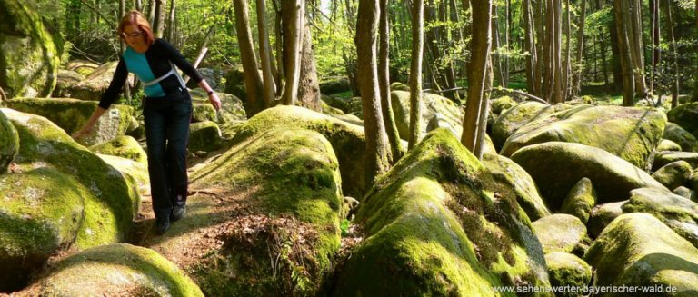 wandergebiet-höllbachtal-falkenstein-ausflugsziele-regensburg