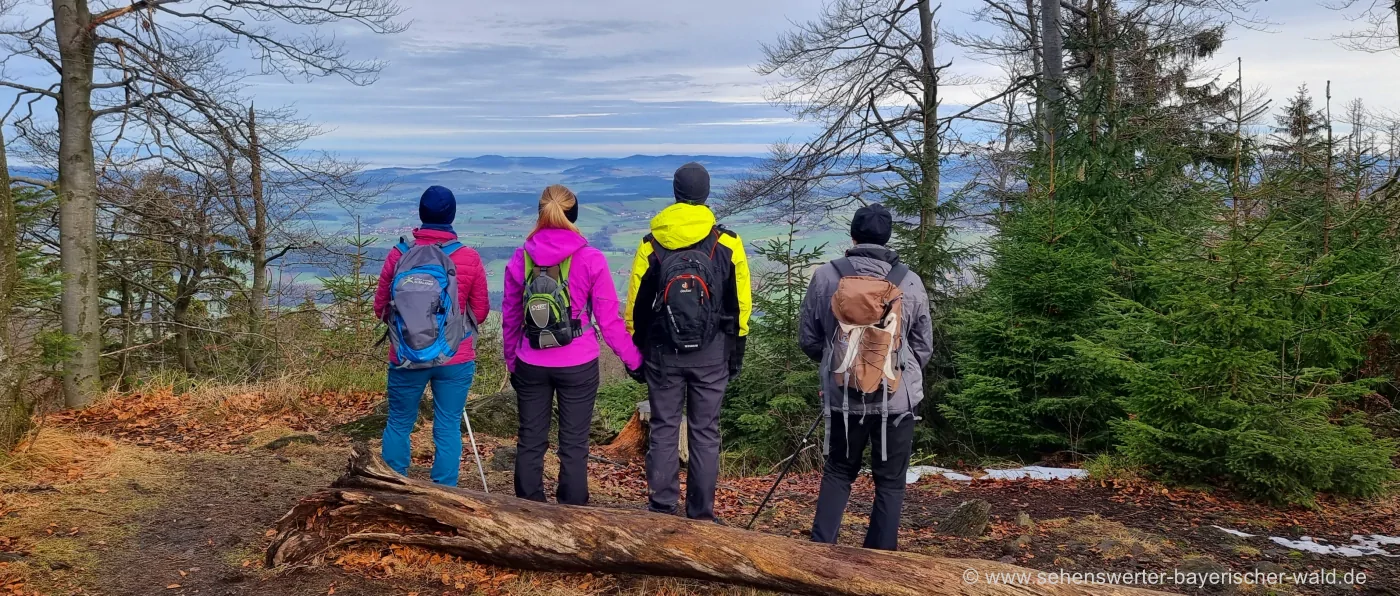 wandern-bayerischer-wald-bergwanderung-bayern-aussichtspunkt