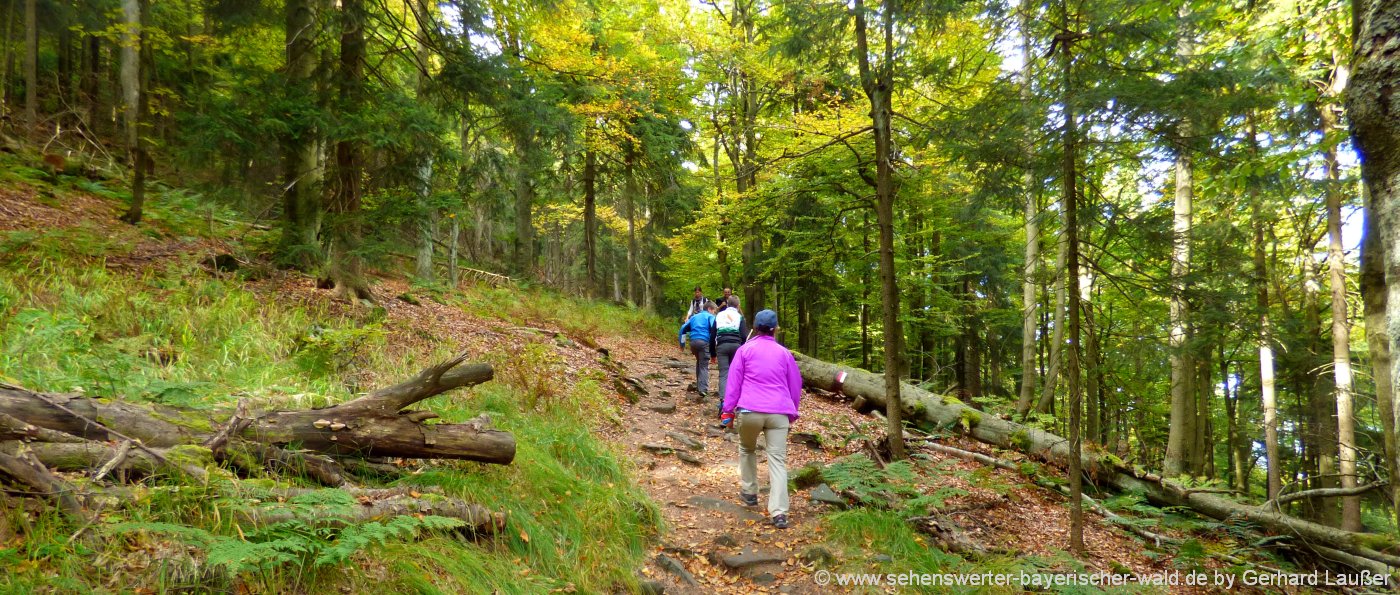 wanderurlaub-bayerischer-wald-familien-wandern-mit-kindern