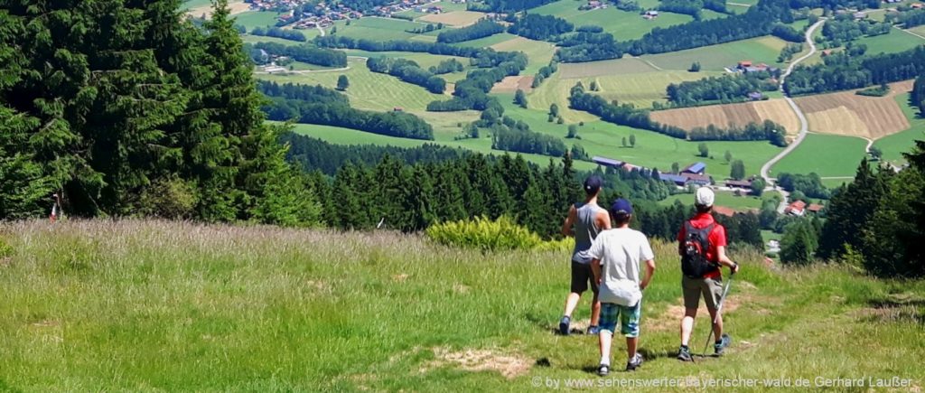 Wanderurlaub im schönen Bayerischen Wald - Wandern und Natur entdecken! Wanderurlaub Bayerischer Wald Wandern in Bayern mit Kind und Hund