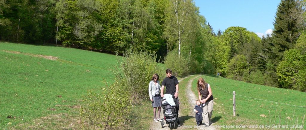 Bayerischer Wald Wandern mit Kinderwagen