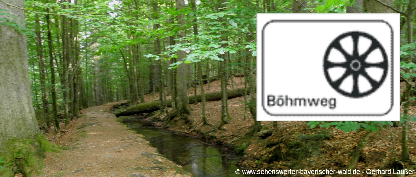 wanderweg-boehmweg-bayerischer-wald-urwaldweg