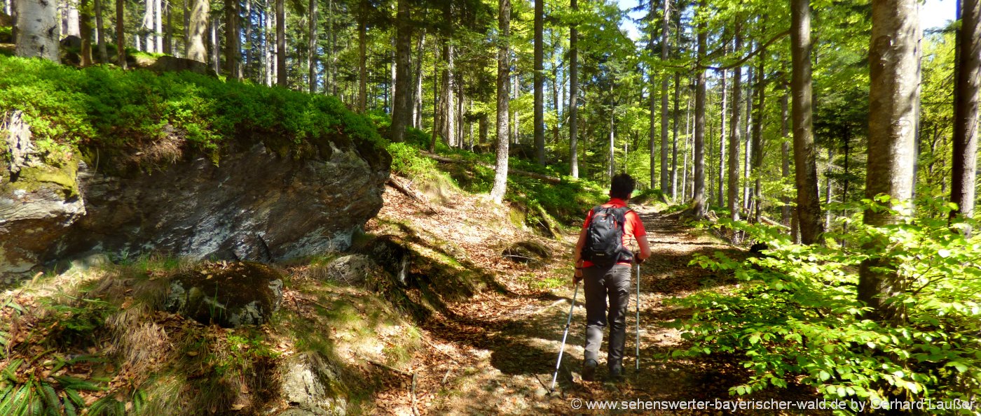 wanderwege-bayerischer-wald-wanderungen-niederbayern