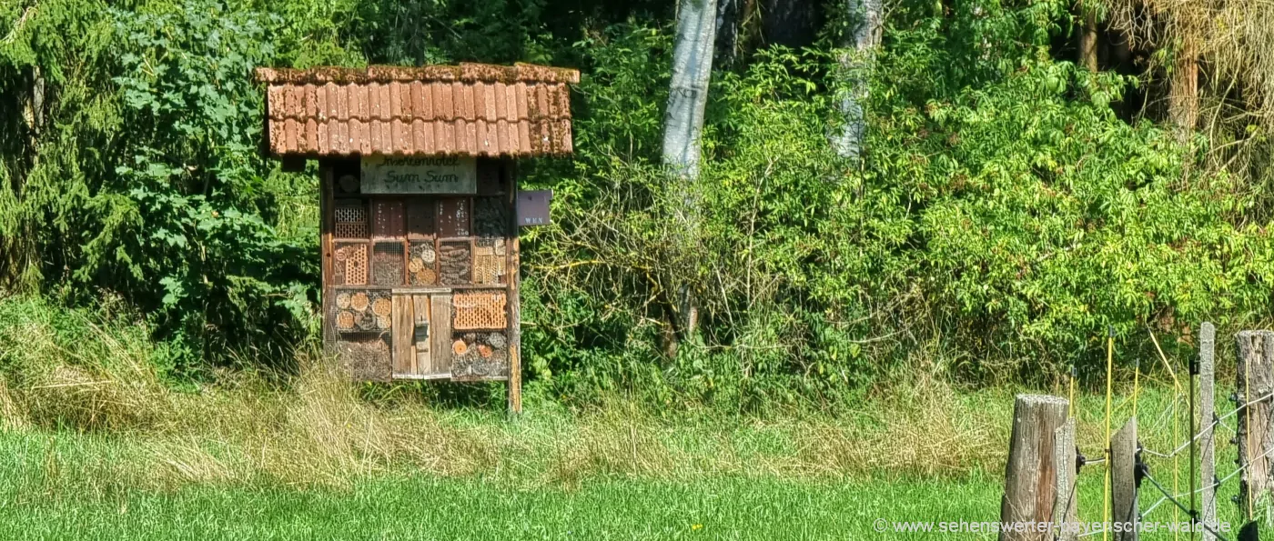 weiden-torflehrpfad-mooslohe-oberpfalz-naturlehrpfad-insektenhotel