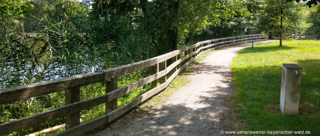 Wandern bei Wiesenfelden Rundweg zum Büscherl