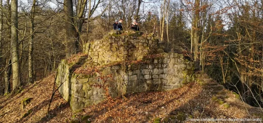 Wanderung Windischbergerdorf Burgruine Buchberg Gipfel