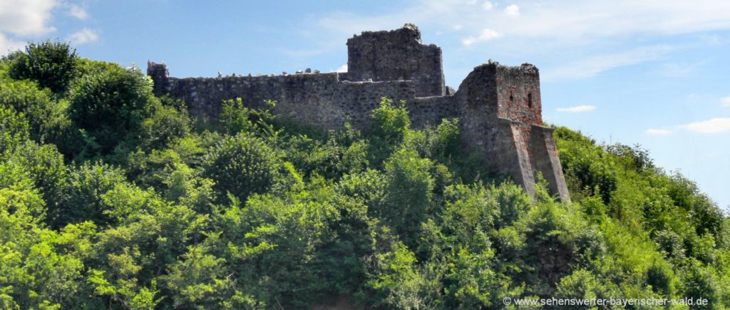 Sehenswürdigkeit in Winzer Ausflugsziel Burgruine Oberwinzer