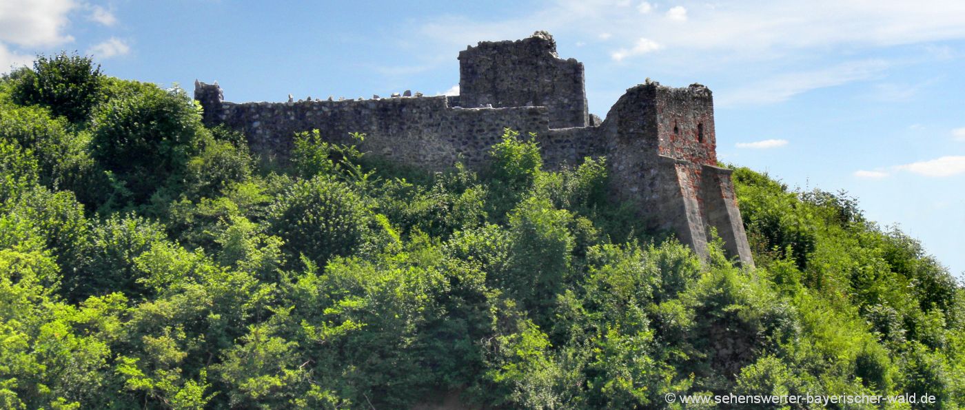 winzer-burgruine-niederbayern-schlossberg-oberwinzer