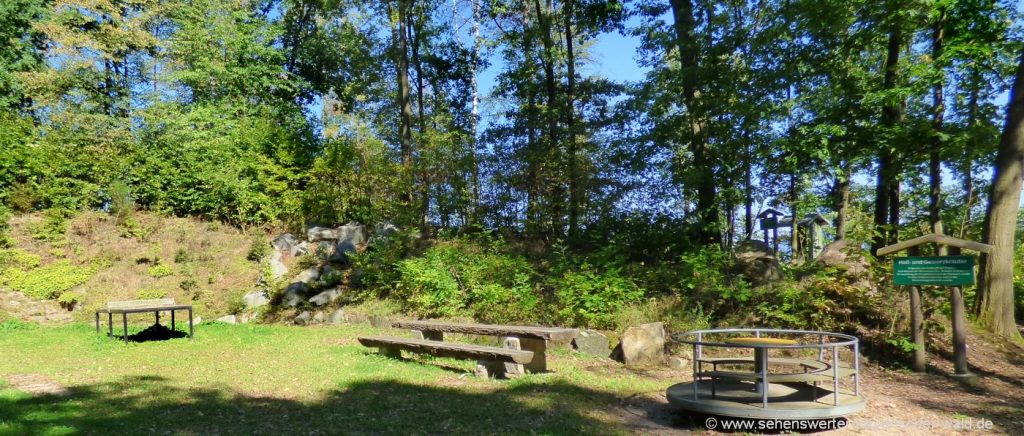 Ausflugsziele bei Zandt - Erlebnispfad am Kellerberg