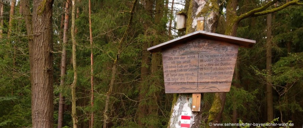 Himmelsstiege Zandt Rundwanderweg am Ppfahl Waldlehrpfad Himmelstreppe