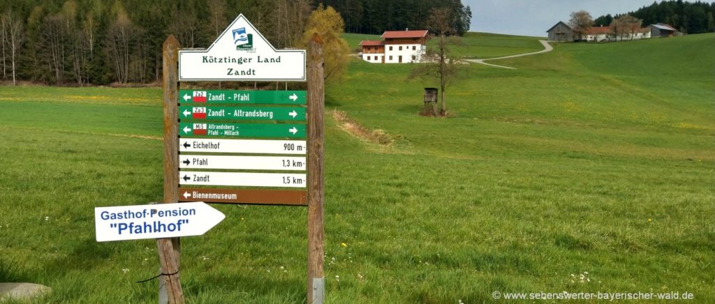 Rundweg bei Zandt Wanderung zur Himmelsleiter am Pfahl