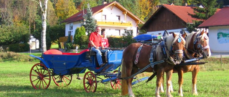 pferdehof-bayerischer-wald-reiturlaub-in-bayern-kutschenfahrten