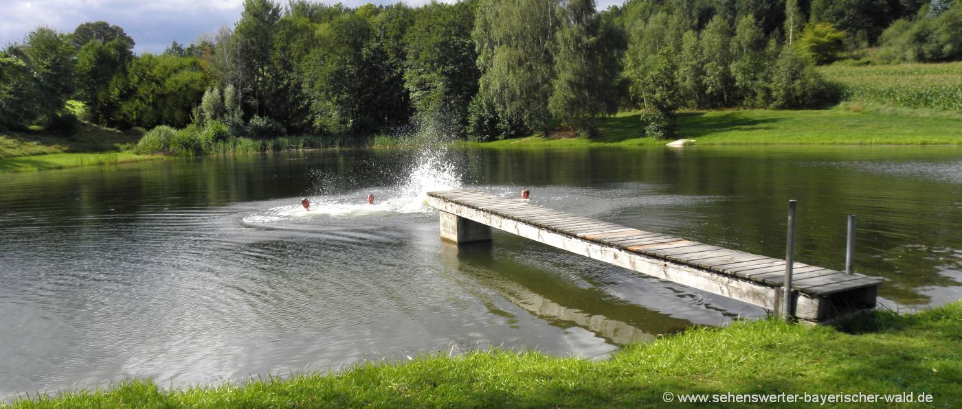 Naturbadeweiher in Zell mit Badesteg zell-badesee-oberpfalz-erlebnispielplatz-naturbadeweiher