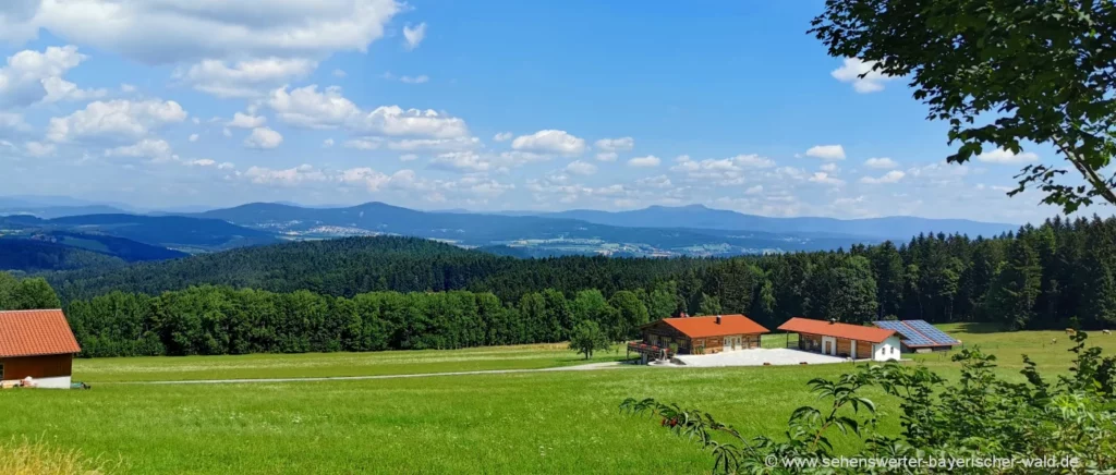 Wandern im Sonnenwald mit tollem Bergpanorama