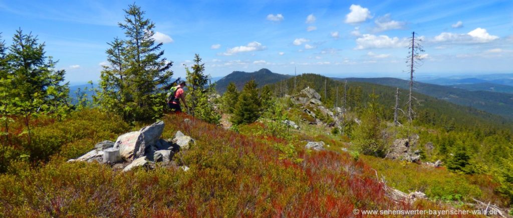 Blick vom Grenzsteig zum Großen und Kleinen Osser - Kammwanderung im Bayerischen Wald zwercheck-kammwanderung-osser-gipfelsteig-bayerischer-wald