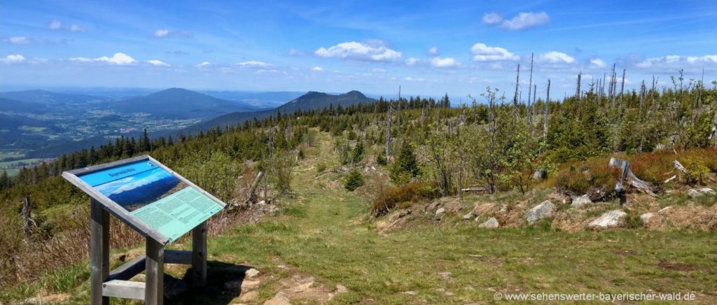 Zwercheck Naturkino - Ausblick auf die Bayerwald Berge Arber, Osser, Hoher, Bogen, ... Zwercheck Naturkino Aussichtspunkt am Bayerischer Wald Grenzsteig