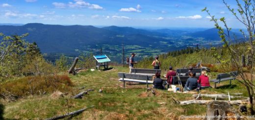 zwercheck-naturkino-aussichtspunkt-lohberg-bayerischer-wald