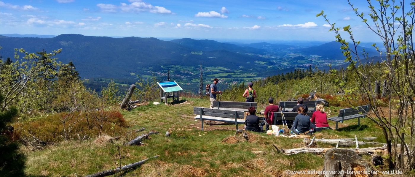 zwercheck-naturkino-aussichtspunkt-lohberg-bayerischer-wald