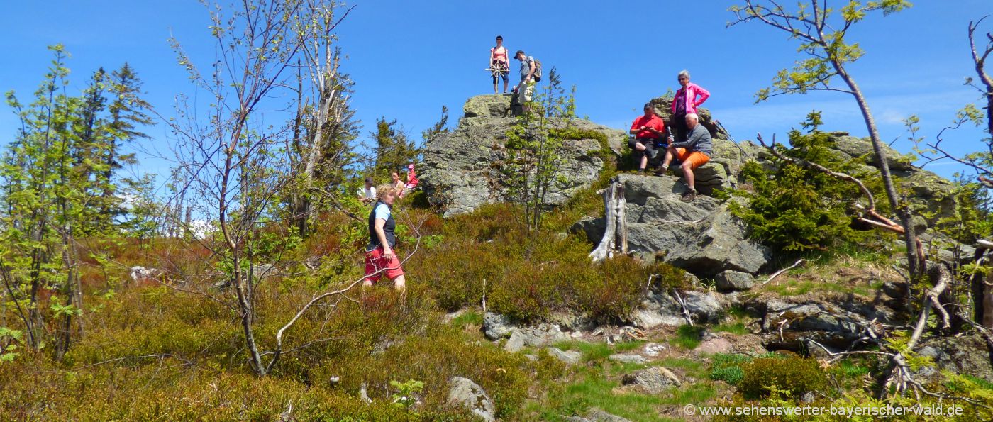 Ausdauernde Wanderung Zwercheck Gipfelkreuz bis zum Osser