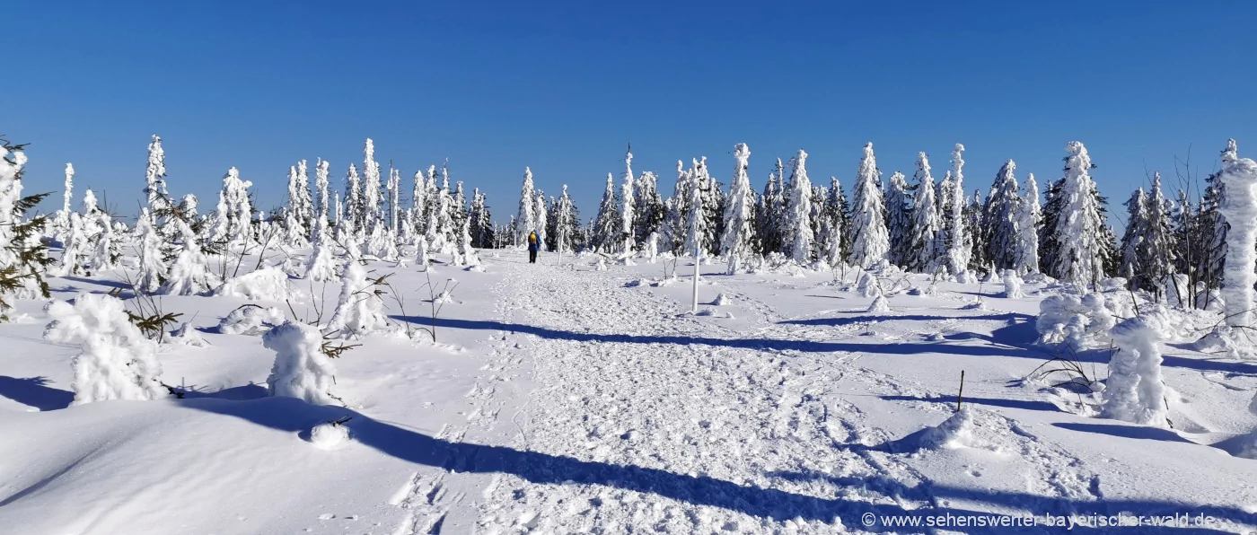 zwercheck-winterwanderung-kamm-schnee-tour