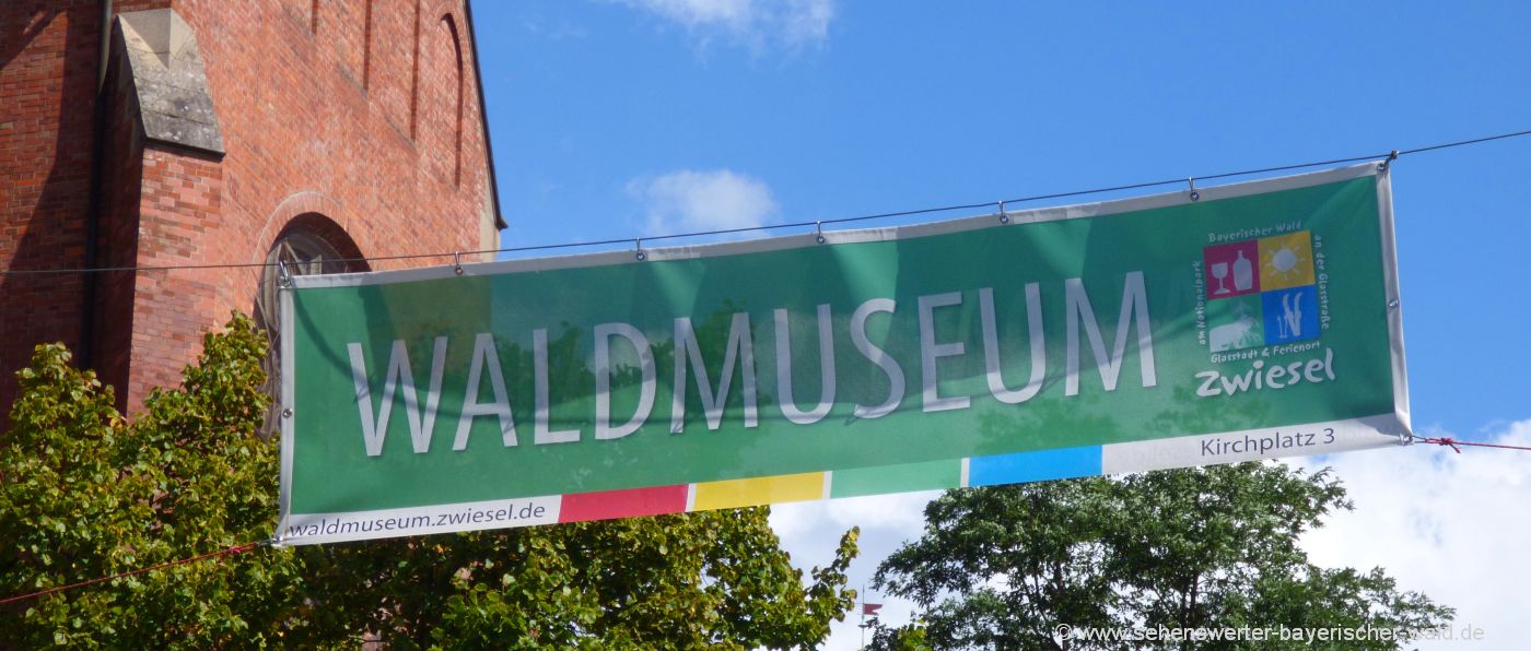 Waldmuseum in Zwiesel Naturkundemuseum Landkreis Regen